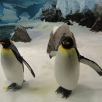 All die Pinguine in diesem armseligen Käfig.. :S